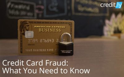 Credit Card Fraud: What You Need to Know