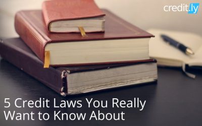 5 Credit Laws You Really Want to Know About
