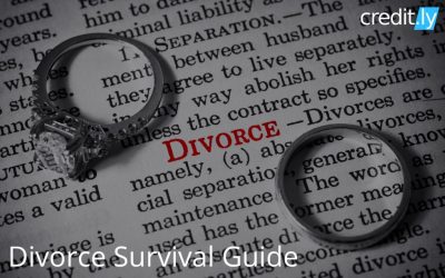 Divorce survival guide